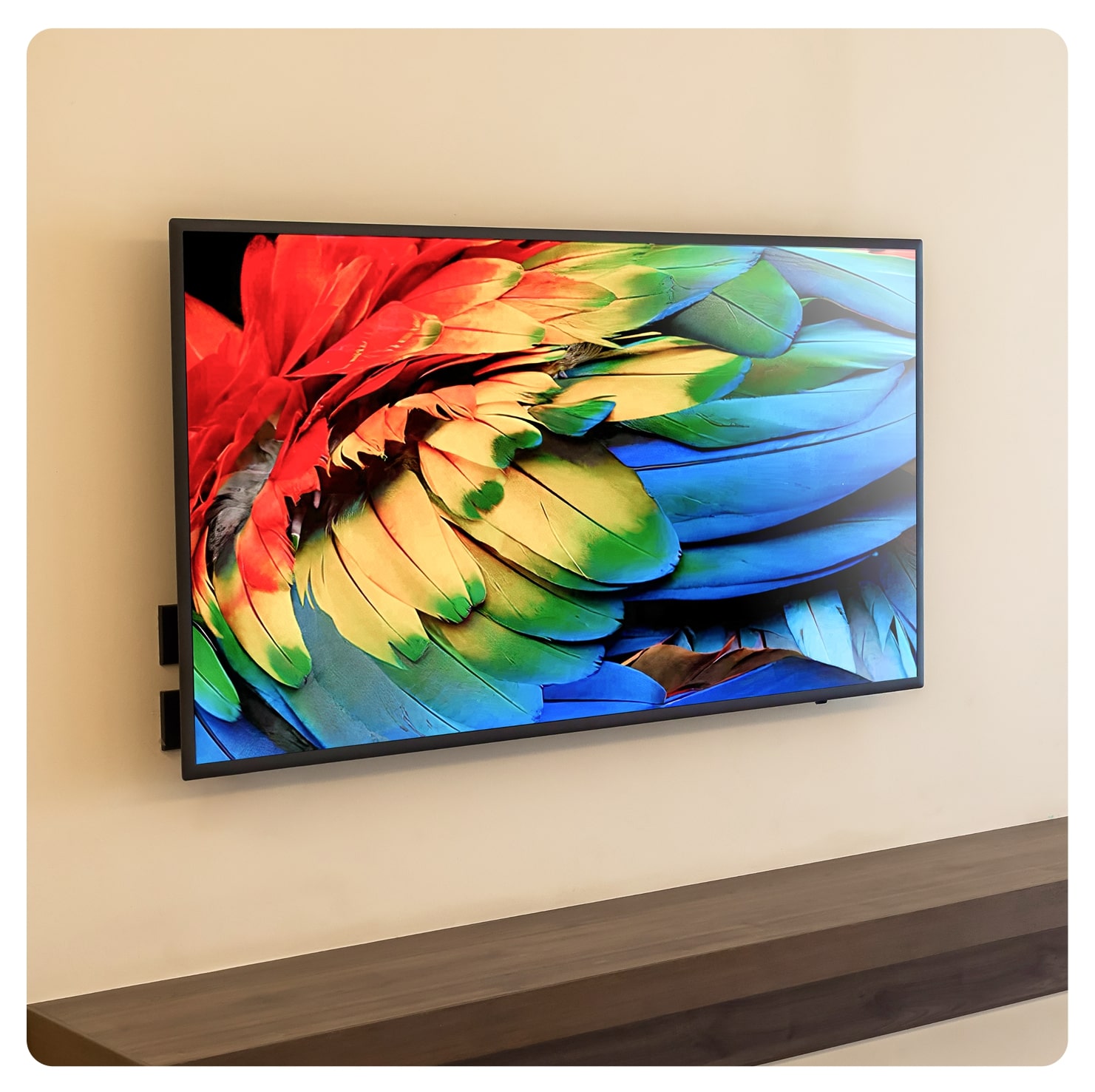 Hotel TVs